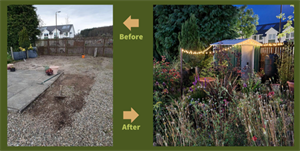 Scott McMurray garden